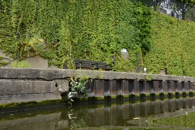 DSC_2750 (Large).JPG